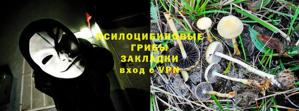 героин Богданович